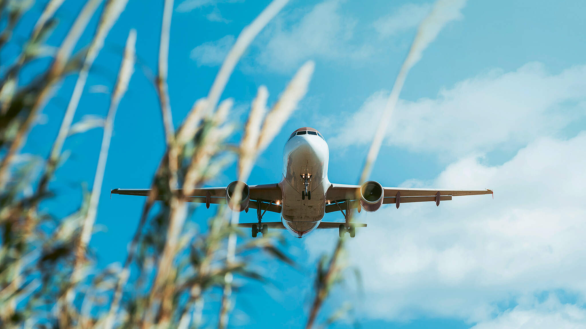 Användning av hållbara flygbränsle, har potential att minska ett flygplans operativa nettoutsläpp av växthusgaser till praktiskt taget noll.